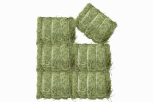 Timothy Hay - Zabeel Feed for sale worldwide - Global Equine Marketplace Timothy Hay - Zabeel Feed for sale worldwide - Global Equine Marketplace