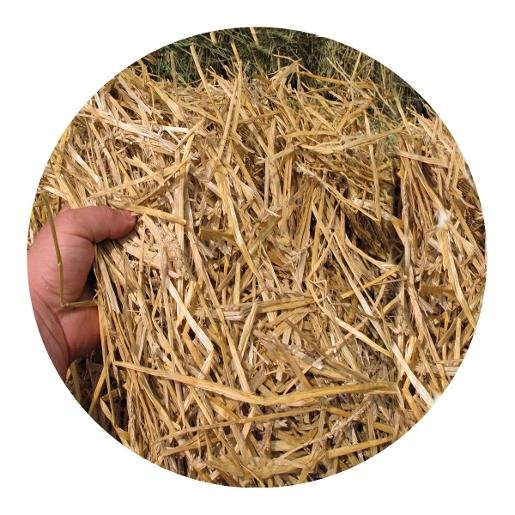 Understanding Horse Feed Labels and Nutrition | Global Equine Marketplace