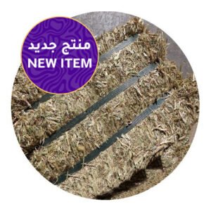 What Do Horses Eat? Feeding Basics | Global Equine Marketplace