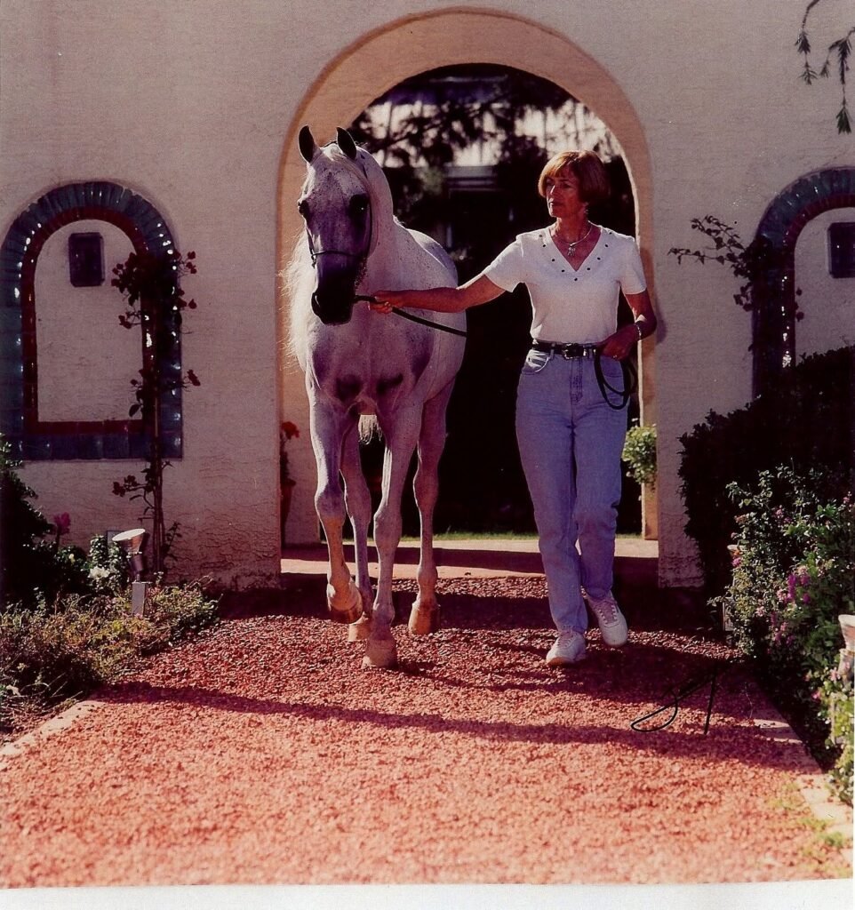 What Is Eventing? Beginner Definition | Global Equine Marketplace