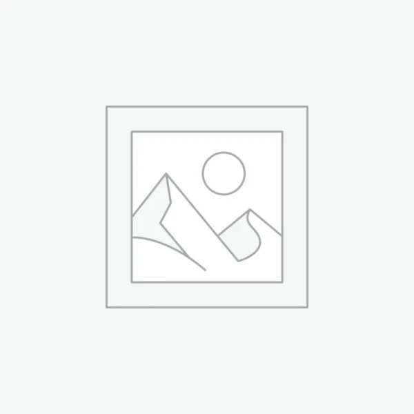 🐎 Friesian Mare for Sale EU – 4-Year-Old 15.1 hh Black Registered Friesian | Dressage • Breeding • Leisure